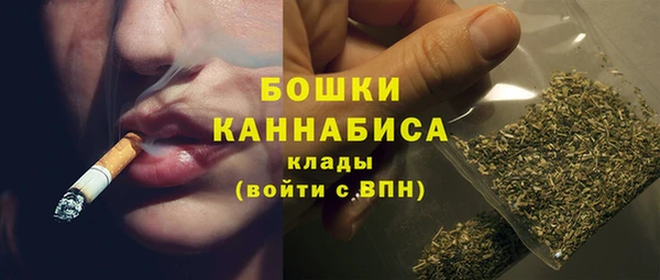 ECSTASY Белокуриха