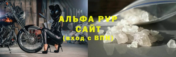 ECSTASY Белокуриха