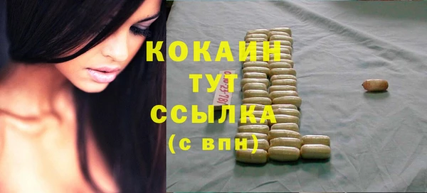 ECSTASY Белокуриха