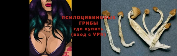 ECSTASY Белокуриха