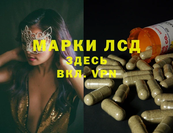 ECSTASY Белокуриха